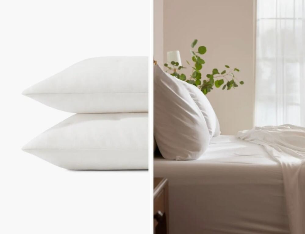 Cozy Earth - King Pillowcases - Bamboo Jersey - White